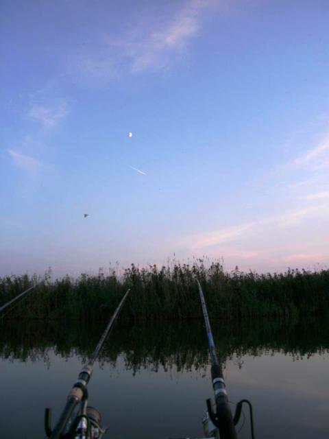 delta rosu 2012 - 541123.jpg